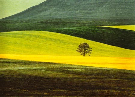Landscape, Calabria, Italy