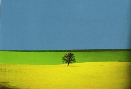 Landscape, Puglia, Italy