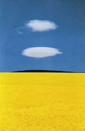 Landscape, Puglia, Italy_1