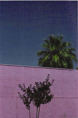 Urban Landscape, Phoeni0009