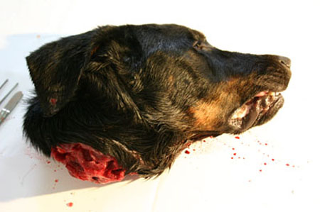 FANTASIA_DE_COMPENSACAO_RB_